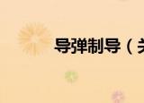 导弹制导（关于导弹制导介绍）