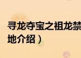 寻龙夺宝之祖龙禁地（关于寻龙夺宝之祖龙禁地介绍）