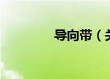 导向带（关于导向带介绍）