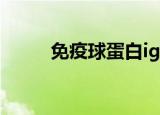 免疫球蛋白ige（免疫球蛋白ige）
