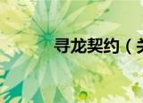 寻龙契约（关于寻龙契约介绍）