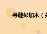 寻谜彭加木（关于寻谜彭加木介绍）