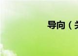 导向（关于导向介绍）