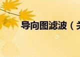 导向图滤波（关于导向图滤波介绍）