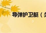 导弹护卫艇（关于导弹护卫艇介绍）