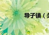 导子镇（关于导子镇介绍）