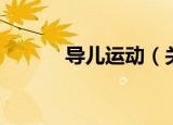 导儿运动（关于导儿运动介绍）