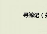 寻鲸记（关于寻鲸记介绍）