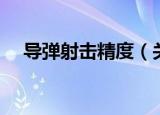 导弹射击精度（关于导弹射击精度介绍）