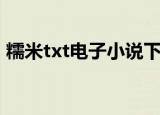 糯米txt电子小说下载（糯米txt电子书论坛）