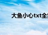 大鱼小心txt全集百度云（大鱼小心）