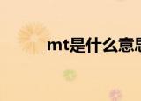 mt是什么意思（mt是什么意思）