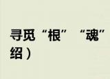 寻觅“根”“魂”（关于寻觅“根”“魂”介绍）