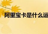 阿里宝卡是什么运营商（阿里宝卡是什么）