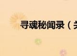 寻魂秘闻录（关于寻魂秘闻录介绍）