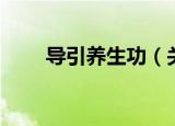 导引养生功（关于导引养生功介绍）