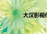 大汉影视传媒（大汉影视）