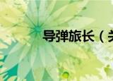 导弹旅长（关于导弹旅长介绍）