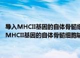 导入MHCII基因的自体骨髓细胞输注诱导猪肝移植免疫耐受（关于导入MHCII基因的自体骨髓细胞输注诱导猪肝移植免疫耐受介绍）