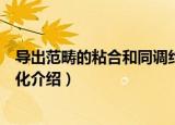 导出范畴的粘合和同调约化（关于导出范畴的粘合和同调约化介绍）