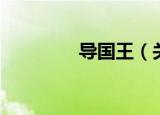 导国王（关于导国王介绍）