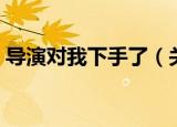导演对我下手了（关于导演对我下手了介绍）