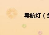 导航灯（关于导航灯介绍）