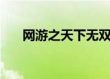 网游之天下无双小说（网游之覆雨剑）