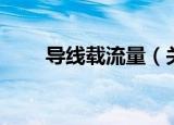导线载流量（关于导线载流量介绍）