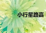 小行星路嘉（小行星路过地球）