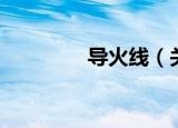 导火线（关于导火线介绍）