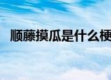 顺藤摸瓜是什么梗（顺藤摸瓜是什么意思）