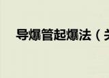 导爆管起爆法（关于导爆管起爆法介绍）