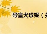 导盲犬珍妮（关于导盲犬珍妮介绍）
