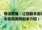 导演思维：让微剧本变得高级起来（关于导演思维：让微剧本变得高级起来介绍）