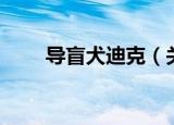 导盲犬迪克（关于导盲犬迪克介绍）