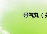 导气丸（关于导气丸介绍）