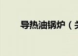 导热油锅炉（关于导热油锅炉介绍）