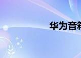 华为音箱（华为音箱）