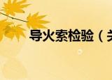 导火索检验（关于导火索检验介绍）