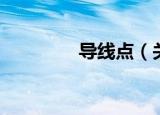 导线点（关于导线点介绍）