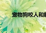 宠物狗咬人和解后被摔死（宠物村）