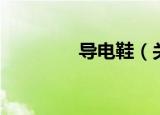 导电鞋（关于导电鞋介绍）