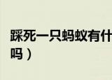 踩死一只蚂蚁有什么后果（踩死一只蚂蚁犯法吗）