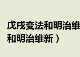 戊戌变法和明治维新的差距在哪里（戊戌变法和明治维新）