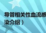 导管相关性血流感染（关于导管相关性血流感染介绍）