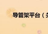 导管架平台（关于导管架平台介绍）
