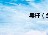 导杆（关于导杆介绍）