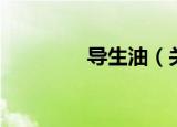 导生油（关于导生油介绍）