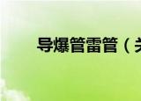 导爆管雷管（关于导爆管雷管介绍）